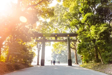 Outdoor-Kissen Torii im Yoyogi Park, Tokio, Japan © Sebas