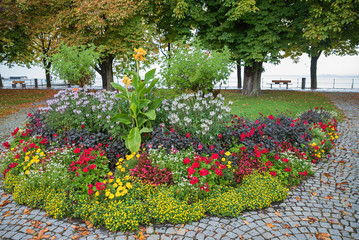 herbstliches Blumenbeet an der Uferpromenade Lindau