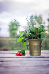 Copper mortar with herbs lavender, strawberry, lemon verbena