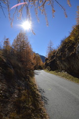 Autunno in montagna