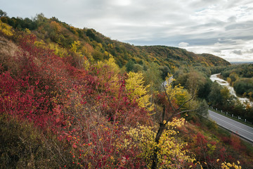 beautifull view of the road from a height. autumn