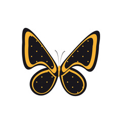 beautiful butterflies, isolated on a white