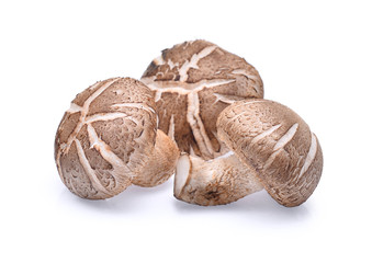 shiitake mushrooms isolated on white