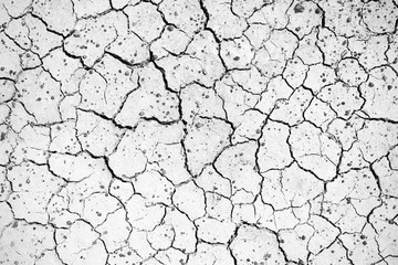 Crack soil texture background