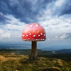 Abstrakter roter Pilz auf Baumstamm mit dramatischem blauem Himmel und Bergen © mejn
