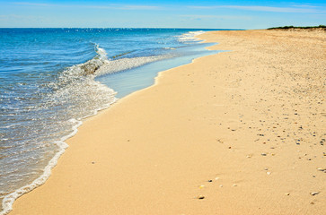Sea waves washed clean beach made of shells. Landscape on a wild