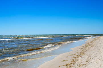 Sea waves washed clean beach made of shells. Landscape on a wild beach. The sea in the summer.