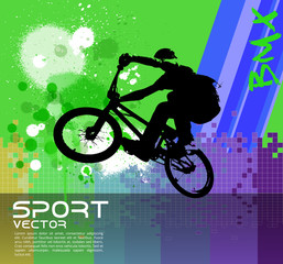 Fototapeta na wymiar Boy jumping with bmx bike vector