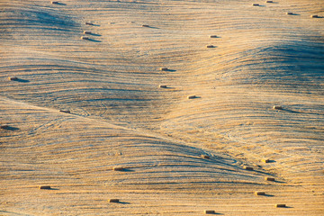 golden tuscany landscape, Crete Senesi hills, Italy