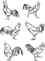 cock, rooster, vector, feathers, illustration, silhouette, black, isolated