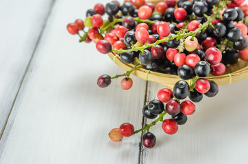 Thai Blueberry fruits