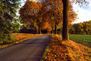 Obraz premium herbstliche Strassen