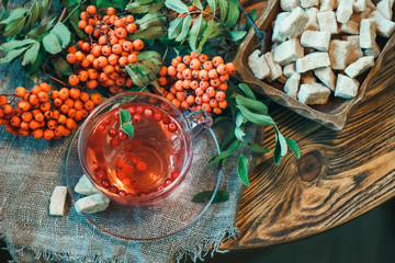 Cup of tea with rowan berries (sorbus aucuparia, ashberry) and brown sugar on a wooden table