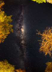 Camping under starry sky and Milky Way arc, with details of its colorful core, outstandingly bright, captured in Southern Africa. Adventure into the wild.