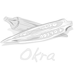 Okra plant vector illustration
