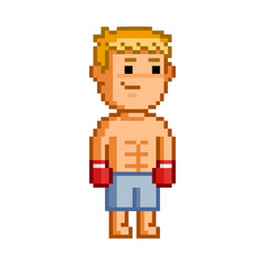 Vector pixel boxer for games