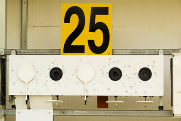 Biathlon . Target sports shooting
