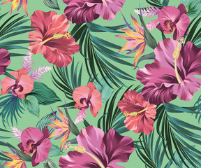 hibiscus vector pattern with amazing flowers