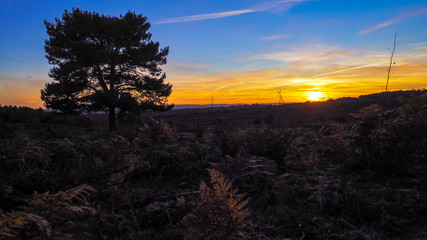 Sunset over the Ashdown Forest in Sussex