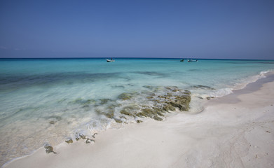 Fototapeta na wymiar Beach on an island of Socotra in Yemen
