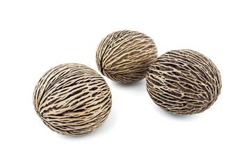 Obraz premium dried cerbera oddloam's seeds, pong pong seeds on white backgrou