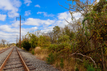 View of the railway receding into the distance through the trees.