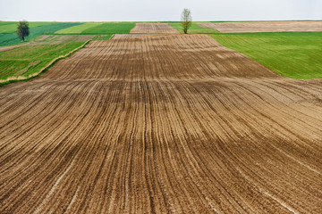 Gołe pole na wiosnę 