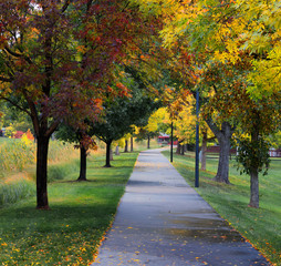 Naklejka premium Sidewalk with Fall Colors