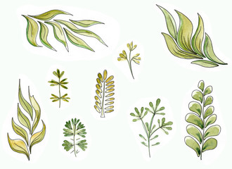 set of different watercolor leaves