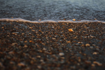 Rocky beach at sunset