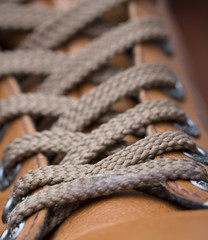 Shoe laces on a brand new brown sneakers.