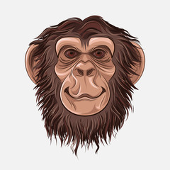 ?artoon face of good adult monkeys. Good eyes, smile, beautifully painted hair