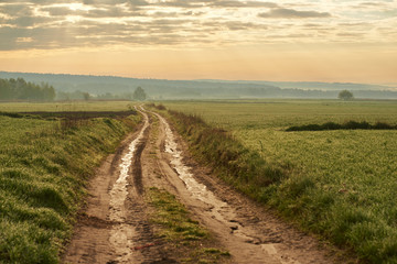 Droga w wiosenny poranek pomiędzy polami 