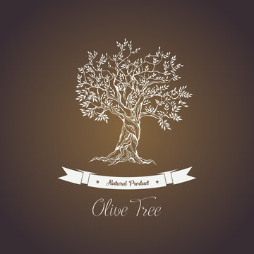 Greece olive tree logo with branches