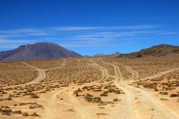Fototapeta na wymiar Wheel tracks in the desert near Laguna Colorado, which one leads to destination, Bolivia South America