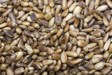 Sunflower seeds fried.