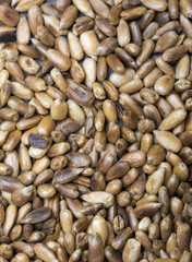 Sunflower seeds fried.
