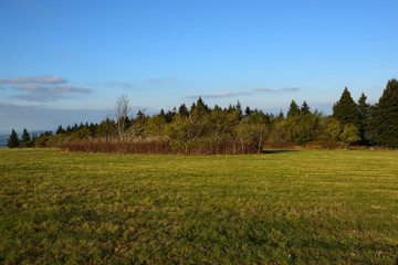 Obraz premium Coloful Autumn Landscape