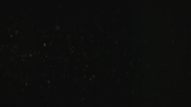 Snow Falling On A Black Background