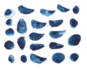 Watercolor seashell set. Hand painted raster illustration. Seashell round composition for prints, posters, banners.