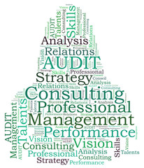 AUDIT consulting word cloud
