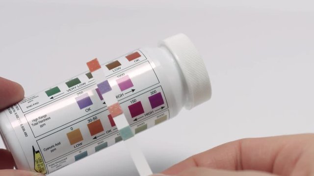 Check quality of water with test strip, comparing results