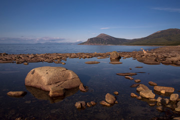Stones on the beach and a dog. Peninsula Kony. The Sea of Okhotsk. Magadan Region. Russia.