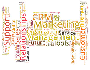 CRM word cloud