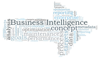Fototapeta na wymiar Business Intelligence word cloud