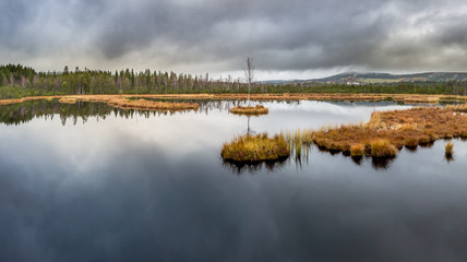 Moorland in Šumava