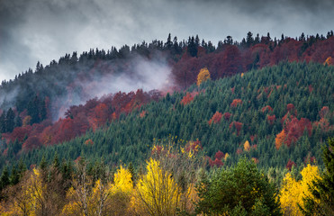 Colorful nature