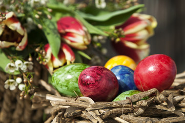 bunte Ostereier