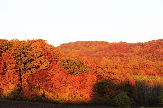 Landschaft Steigerwald Herbst B&auml;ume mit ihren Farben