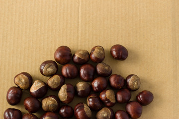 Horse chestnut on a background of cardboard